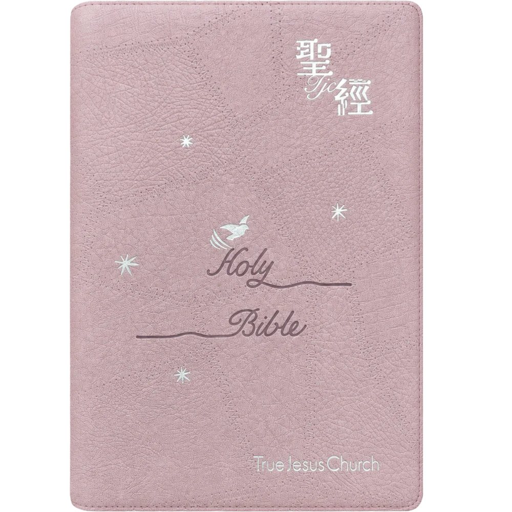 Pink and silver centennial Bible