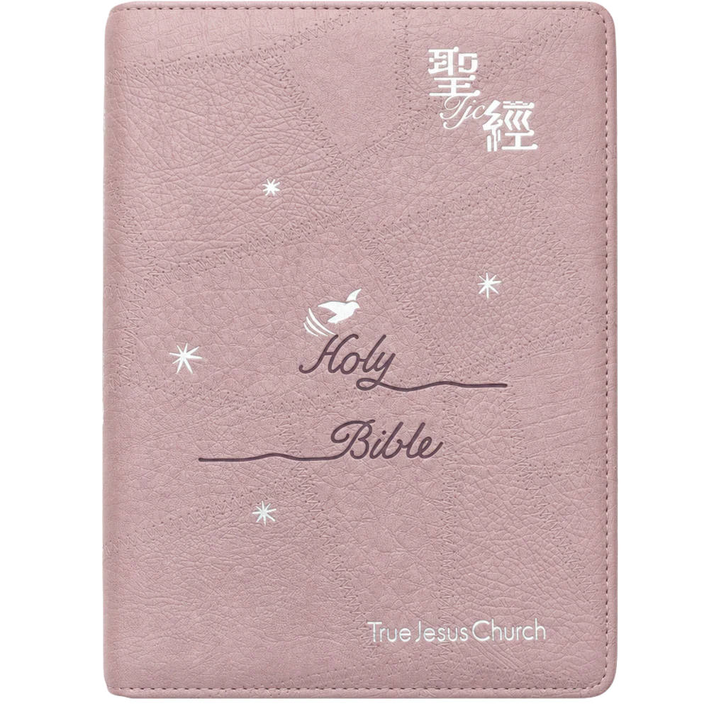 Front cover of the pink and silver zipped, indexed centennial Bible